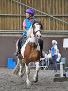 Image 15 in WORLD HORSE WELFARE. CLEAR ROUND SHOW JUMPING WITH ALI PEARSON. 13 JULY 2019