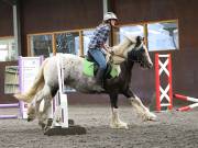 Image 152 in WORLD HORSE WELFARE. CLEAR ROUND SHOW JUMPING WITH ALI PEARSON. 13 JULY 2019