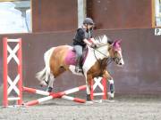 Image 156 in WORLD HORSE WELFARE. CLEAR ROUND SHOW JUMPING WITH ALI PEARSON. 13 JULY 2019