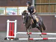 Image 175 in WORLD HORSE WELFARE. CLEAR ROUND SHOW JUMPING WITH ALI PEARSON. 13 JULY 2019