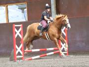 Image 183 in WORLD HORSE WELFARE. CLEAR ROUND SHOW JUMPING WITH ALI PEARSON. 13 JULY 2019