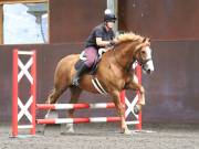 Image 186 in WORLD HORSE WELFARE. CLEAR ROUND SHOW JUMPING WITH ALI PEARSON. 13 JULY 2019