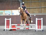 Image 190 in WORLD HORSE WELFARE. CLEAR ROUND SHOW JUMPING WITH ALI PEARSON. 13 JULY 2019