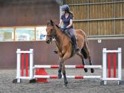 Image 202 in WORLD HORSE WELFARE. CLEAR ROUND SHOW JUMPING WITH ALI PEARSON. 13 JULY 2019