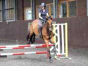 Image 203 in WORLD HORSE WELFARE. CLEAR ROUND SHOW JUMPING WITH ALI PEARSON. 13 JULY 2019