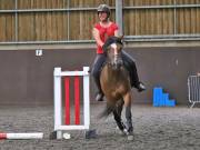 Image 21 in WORLD HORSE WELFARE. CLEAR ROUND SHOW JUMPING WITH ALI PEARSON. 13 JULY 2019