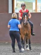 Image 22 in WORLD HORSE WELFARE. CLEAR ROUND SHOW JUMPING WITH ALI PEARSON. 13 JULY 2019