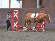Image 23 in WORLD HORSE WELFARE. CLEAR ROUND SHOW JUMPING WITH ALI PEARSON. 13 JULY 2019