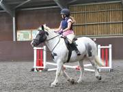 Image 48 in WORLD HORSE WELFARE. CLEAR ROUND SHOW JUMPING WITH ALI PEARSON. 13 JULY 2019