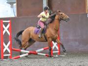 Image 77 in WORLD HORSE WELFARE. CLEAR ROUND SHOW JUMPING WITH ALI PEARSON. 13 JULY 2019