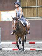 Image 85 in WORLD HORSE WELFARE. CLEAR ROUND SHOW JUMPING WITH ALI PEARSON. 13 JULY 2019