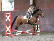 Image 87 in WORLD HORSE WELFARE. CLEAR ROUND SHOW JUMPING WITH ALI PEARSON. 13 JULY 2019