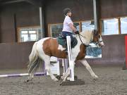 Image 9 in WORLD HORSE WELFARE. CLEAR ROUND SHOW JUMPING WITH ALI PEARSON. 13 JULY 2019