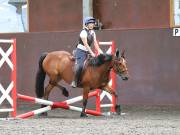 Image 91 in WORLD HORSE WELFARE. CLEAR ROUND SHOW JUMPING WITH ALI PEARSON. 13 JULY 2019