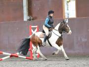 Image 94 in WORLD HORSE WELFARE. CLEAR ROUND SHOW JUMPING WITH ALI PEARSON. 13 JULY 2019