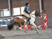 Image 99 in WORLD HORSE WELFARE. CLEAR ROUND SHOW JUMPING WITH ALI PEARSON. 13 JULY 2019