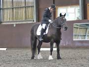 Image 104 in WORLD HORSE WELFARE. DRESSAGE. 3 AUGUST 2019.