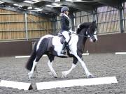 Image 11 in WORLD HORSE WELFARE. DRESSAGE. 3 AUGUST 2019.