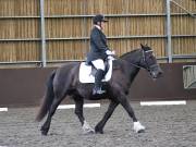 Image 112 in WORLD HORSE WELFARE. DRESSAGE. 3 AUGUST 2019.