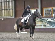 Image 127 in WORLD HORSE WELFARE. DRESSAGE. 3 AUGUST 2019.