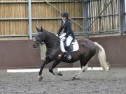 Image 130 in WORLD HORSE WELFARE. DRESSAGE. 3 AUGUST 2019.