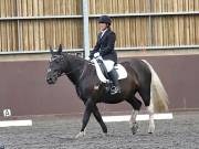 Image 131 in WORLD HORSE WELFARE. DRESSAGE. 3 AUGUST 2019.