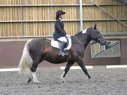 Image 132 in WORLD HORSE WELFARE. DRESSAGE. 3 AUGUST 2019.