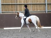 Image 140 in WORLD HORSE WELFARE. DRESSAGE. 3 AUGUST 2019.