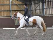 Image 144 in WORLD HORSE WELFARE. DRESSAGE. 3 AUGUST 2019.