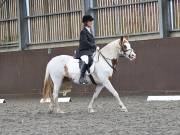 Image 146 in WORLD HORSE WELFARE. DRESSAGE. 3 AUGUST 2019.