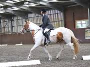 Image 148 in WORLD HORSE WELFARE. DRESSAGE. 3 AUGUST 2019.