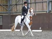 Image 150 in WORLD HORSE WELFARE. DRESSAGE. 3 AUGUST 2019.