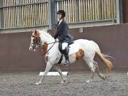 Image 151 in WORLD HORSE WELFARE. DRESSAGE. 3 AUGUST 2019.