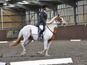 Image 159 in WORLD HORSE WELFARE. DRESSAGE. 3 AUGUST 2019.