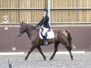 Image 170 in WORLD HORSE WELFARE. DRESSAGE. 3 AUGUST 2019.