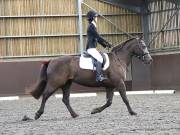 Image 171 in WORLD HORSE WELFARE. DRESSAGE. 3 AUGUST 2019.