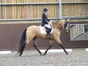 Image 179 in WORLD HORSE WELFARE. DRESSAGE. 3 AUGUST 2019.