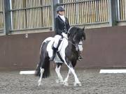 Image 185 in WORLD HORSE WELFARE. DRESSAGE. 3 AUGUST 2019.