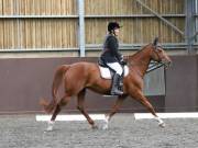 Image 19 in WORLD HORSE WELFARE. DRESSAGE. 3 AUGUST 2019.