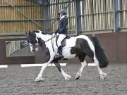 Image 191 in WORLD HORSE WELFARE. DRESSAGE. 3 AUGUST 2019.