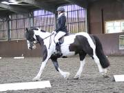 Image 194 in WORLD HORSE WELFARE. DRESSAGE. 3 AUGUST 2019.