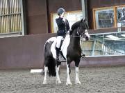 Image 199 in WORLD HORSE WELFARE. DRESSAGE. 3 AUGUST 2019.