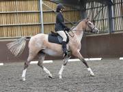 Image 217 in WORLD HORSE WELFARE. DRESSAGE. 3 AUGUST 2019.