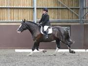 Image 43 in WORLD HORSE WELFARE. DRESSAGE. 3 AUGUST 2019.