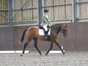 Image 79 in WORLD HORSE WELFARE. DRESSAGE. 3 AUGUST 2019.