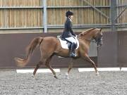 Image 91 in WORLD HORSE WELFARE. DRESSAGE. 3 AUGUST 2019.