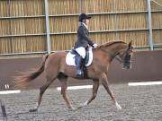 Image 96 in WORLD HORSE WELFARE. DRESSAGE. 3 AUGUST 2019.