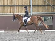 Image 97 in WORLD HORSE WELFARE. DRESSAGE. 3 AUGUST 2019.