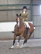 Image 101 in DRESSAGE AT NEWTON HALL EQUITATION. 1 SEPT. 2019