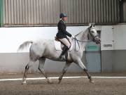 Image 120 in DRESSAGE AT NEWTON HALL EQUITATION. 1 SEPT. 2019